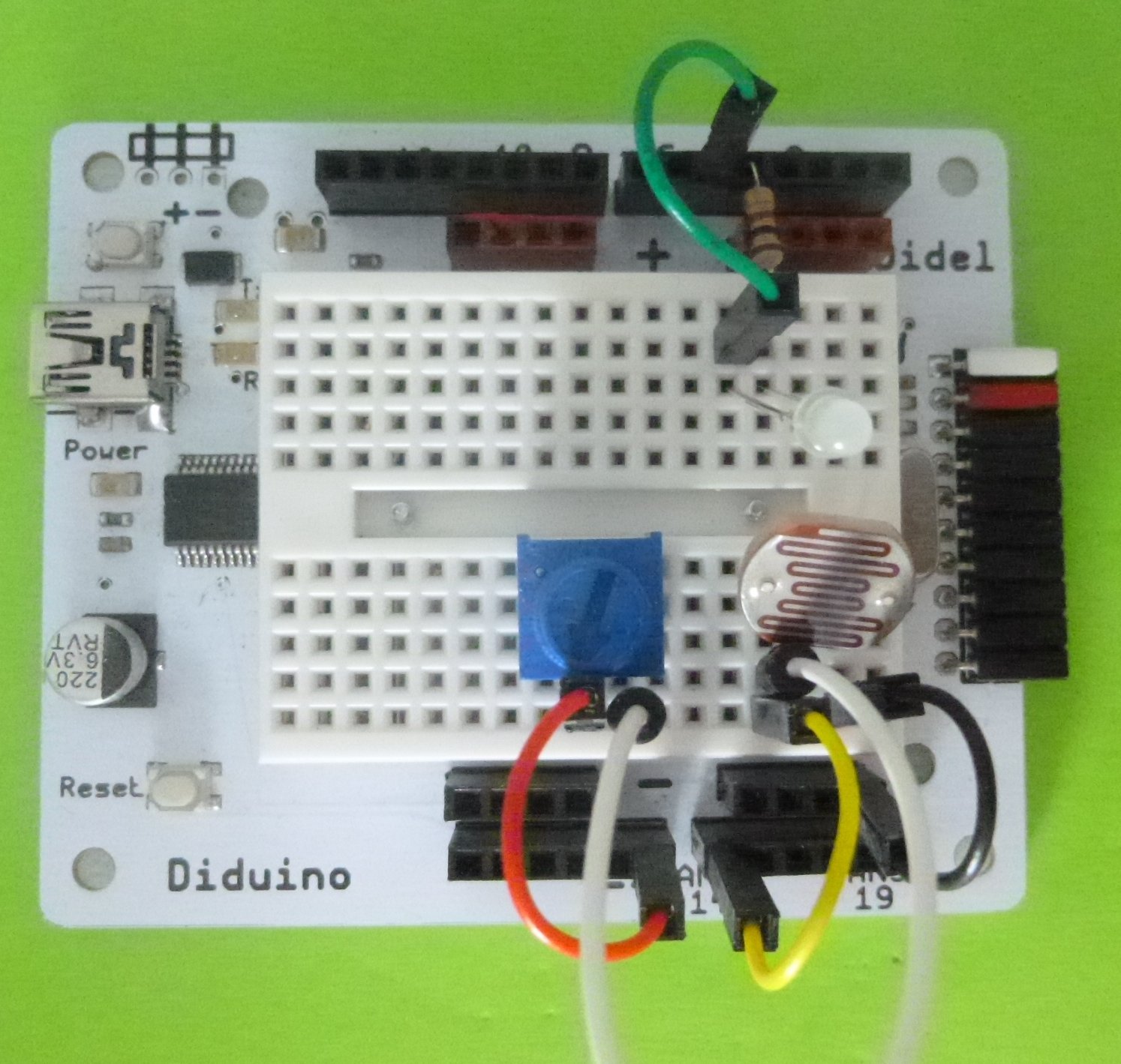 Diduino